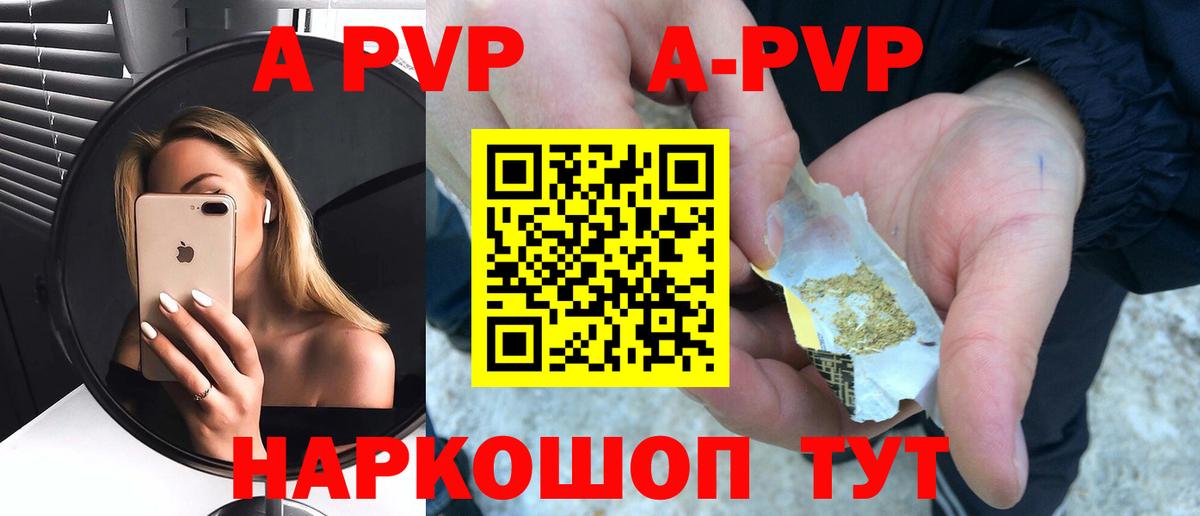 A PVP СК КРИС Россошь