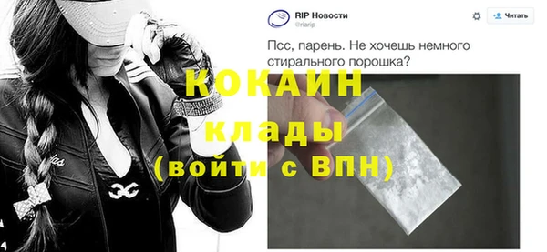 прущие грибы Новодвинск