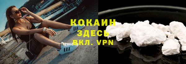 прущие грибы Новодвинск