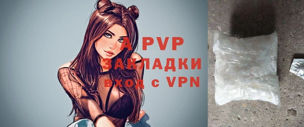 прущие грибы Новодвинск