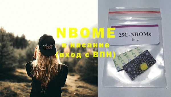 прущие грибы Новодвинск