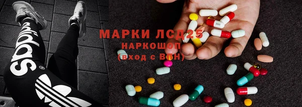 прущие грибы Новодвинск