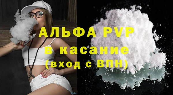 прущие грибы Новодвинск