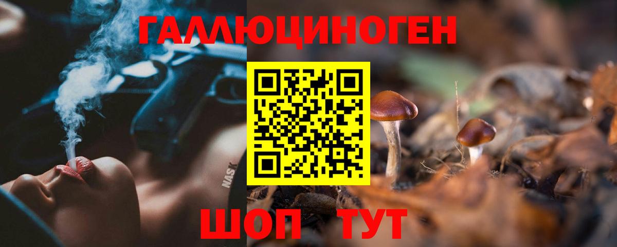 где найти наркотики  Вход с VPN  Псилоцибиновые грибы Psilocybine cubensis  Россошь  Псилоцибиновые грибы прущие грибы 