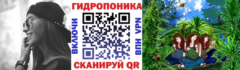 купить цена Россошь Канабис планчик